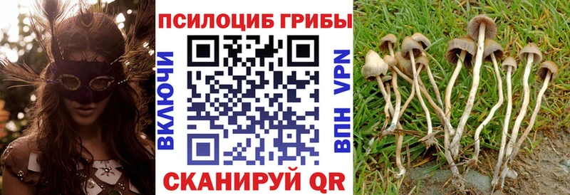 Купить закладки  Медногорск  Галлюциногенные грибы ЛСД 